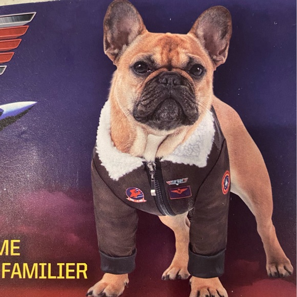 NWOT TOP GUN Maverick Officially Licensed Rubies Dog Halloween Costume S/XS Pup - Picture 5 of 8